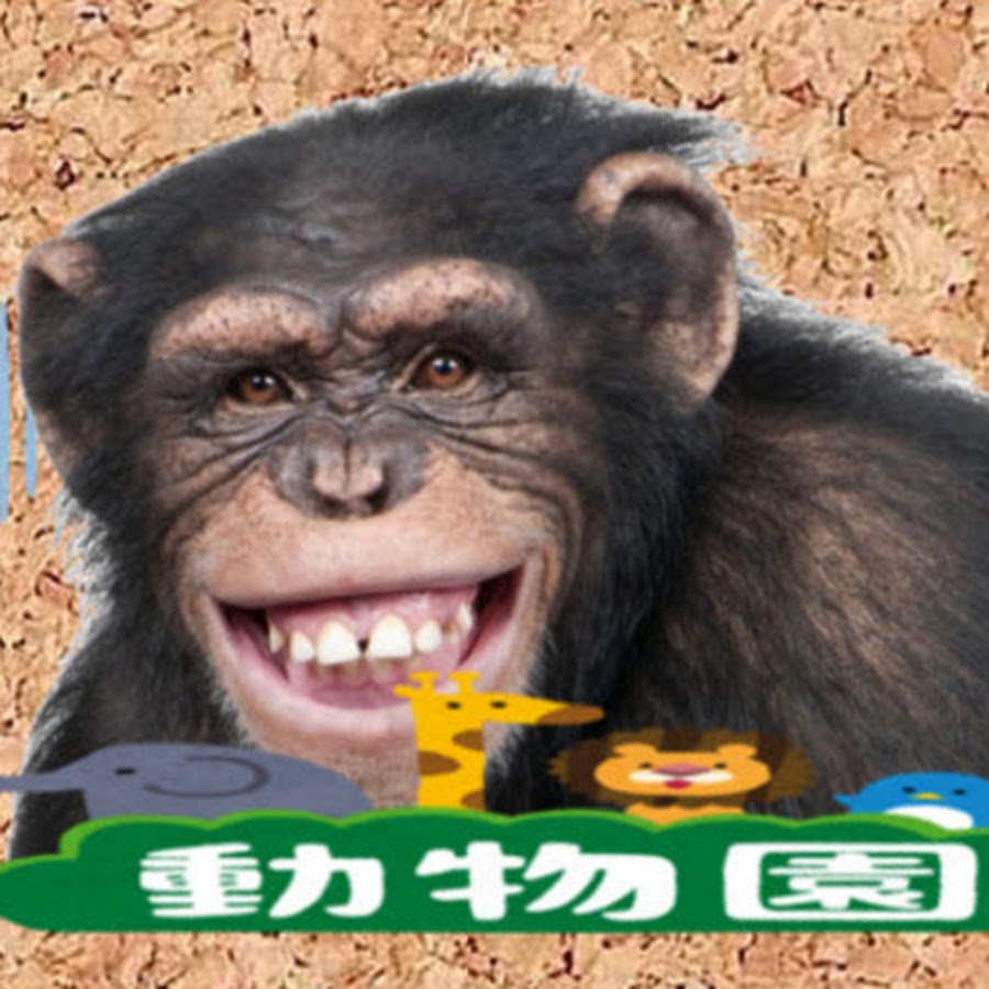 伝説のオコリザル Densetsu No Okorizaru Youtube