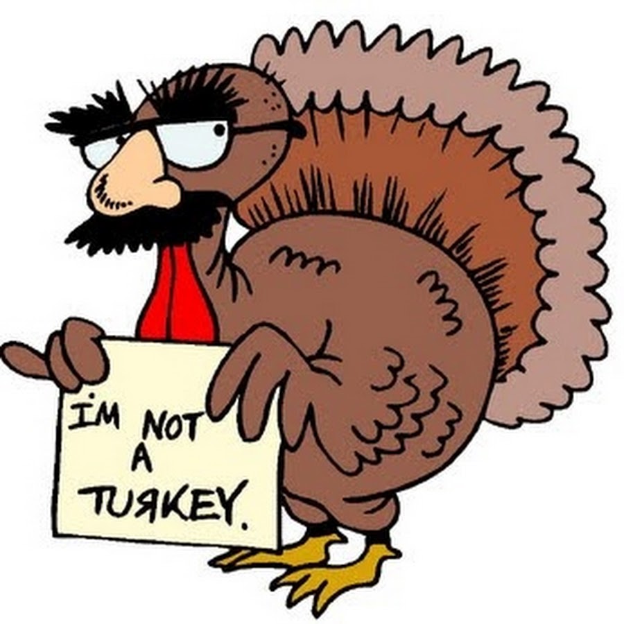 Funny Turkey