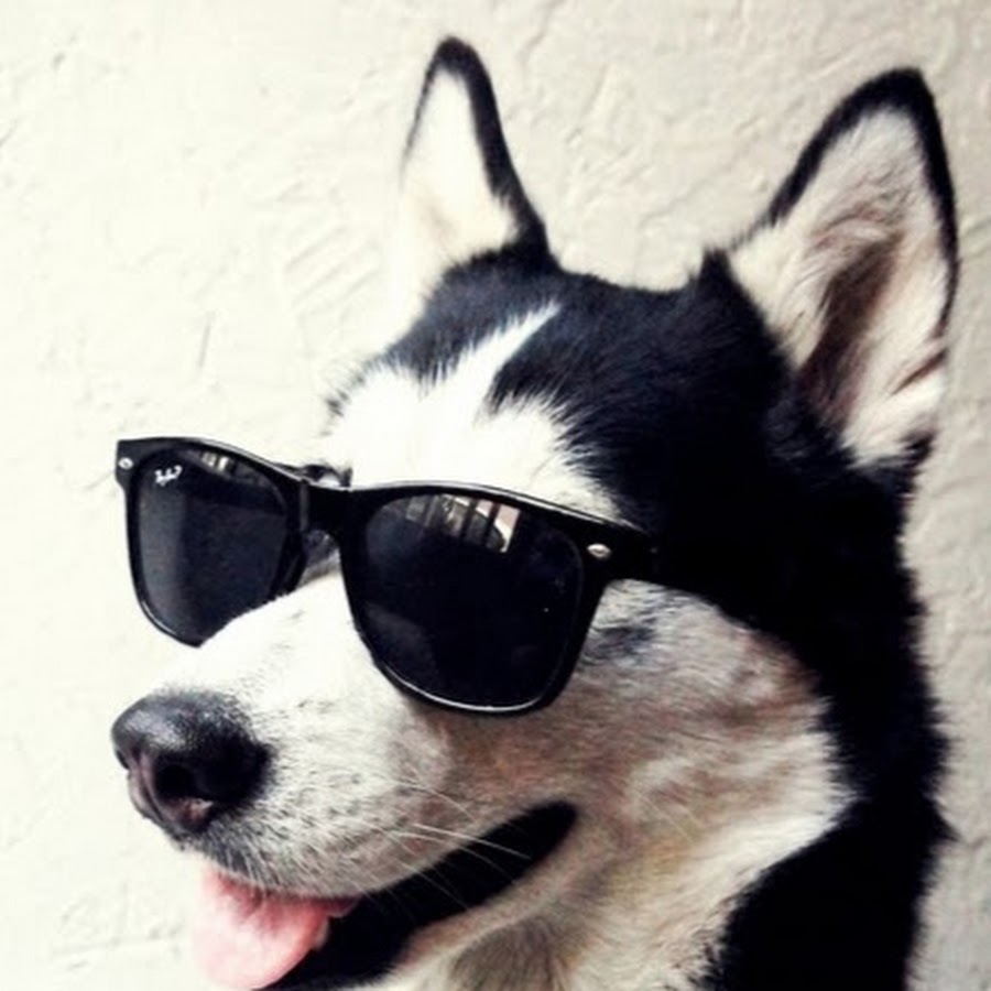 картинки чтобы поставить на аву