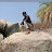 Siddu D boss Avatar