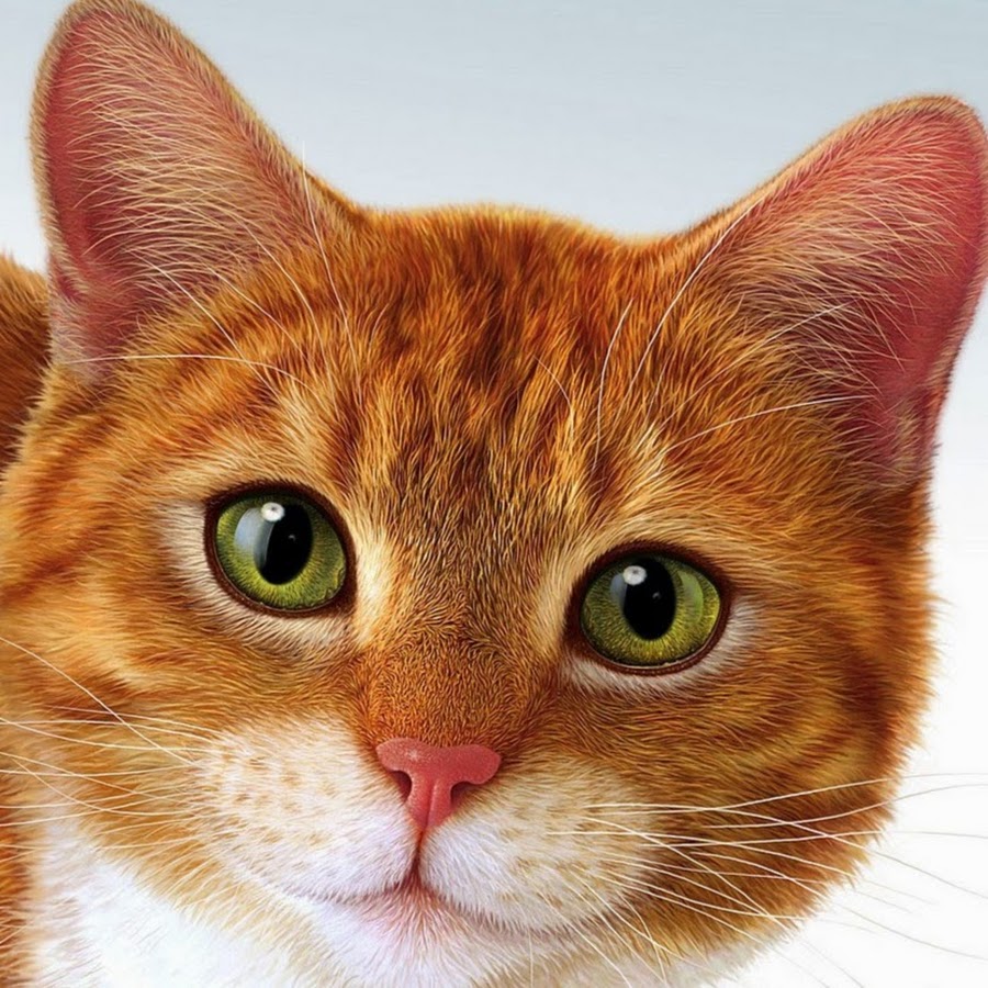 Добавь в друзья вк. Добавляйтесь в друзья приму всех. Добавь в друзья картинки. Добавь в друзья. Пост добавь в друзья.