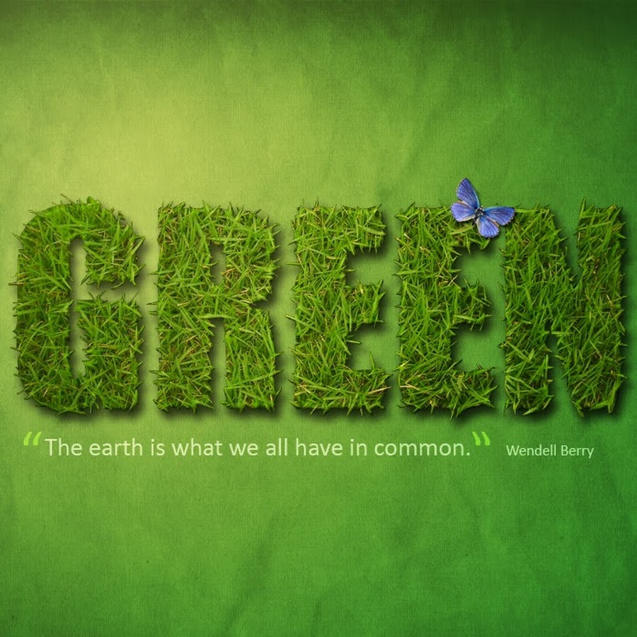 дзен фэнтези. цветок жизни. солнечный свет. система экологического менеджмента iso 14001. сказка про лунный свет.