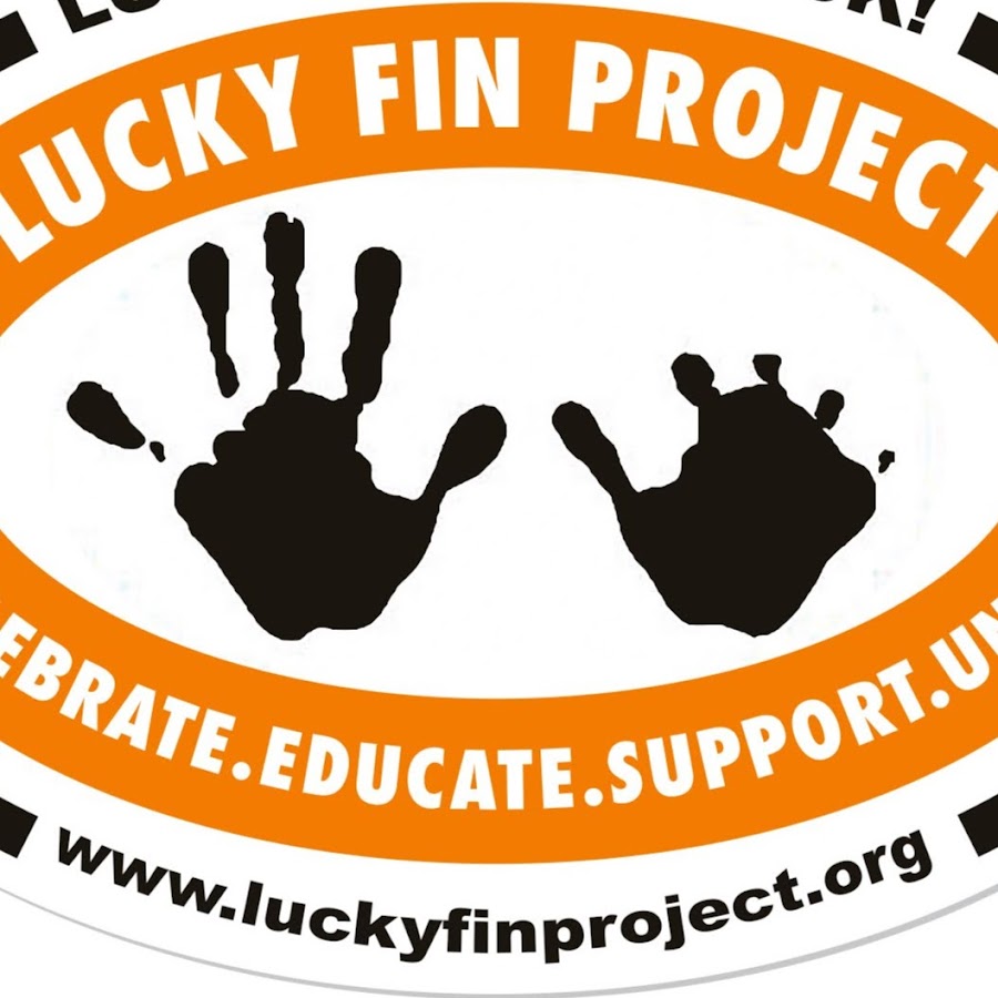 AMLnZu93HzH2ZZN5p595Rw0nyTSWKAVtN9BZH6D0irP=s900ckc0x00ffffffnorj