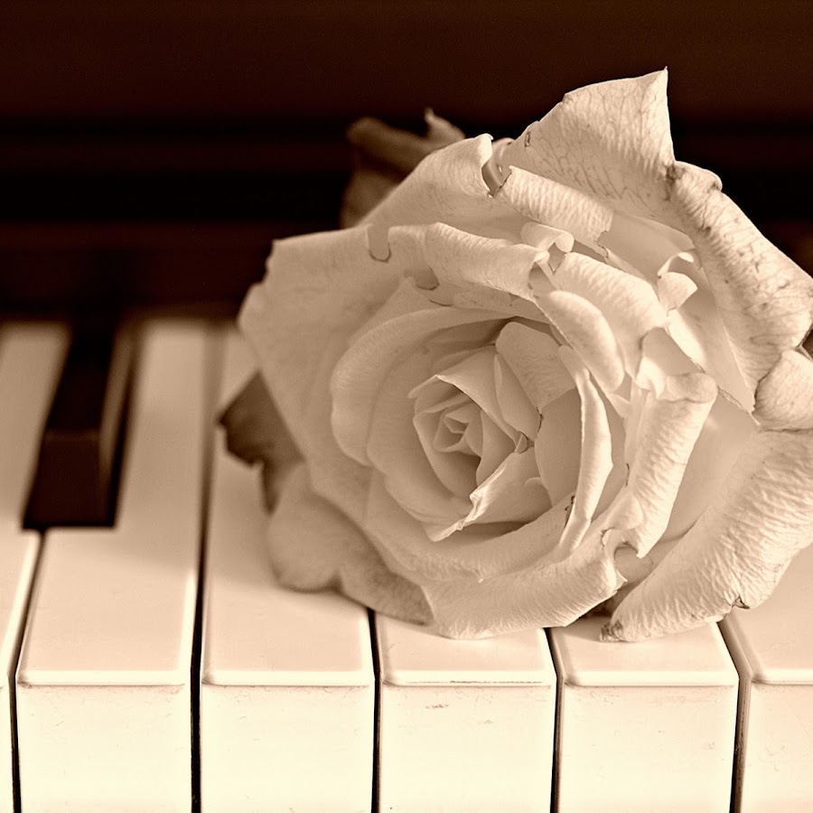 Ночь в музее 2 женщина пилот. You ve given me. Музыка эстетика. You ve given me. You ve given me.