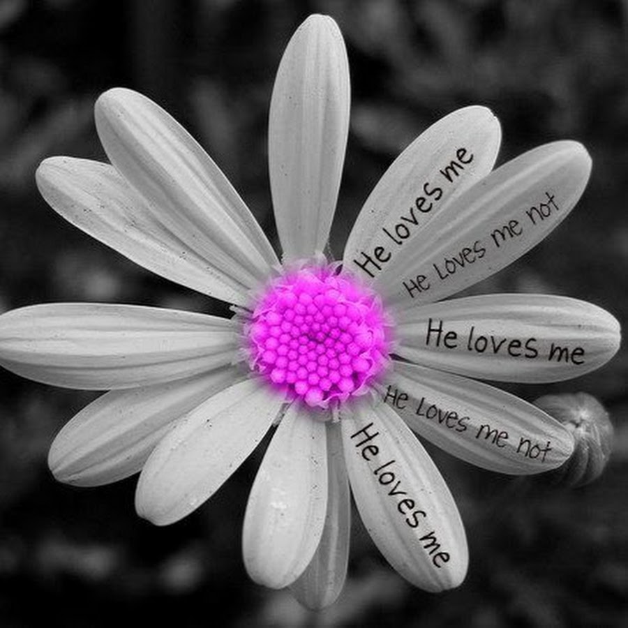 жасмин томпсон ain't nobody. ромашка с одним лепестком. James blunt ok lyrics song exercises. He loves me better. Love me better.