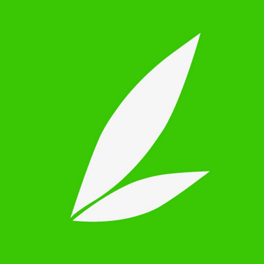 Baamboo Studio - YouTube