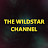 Wildstar Productions