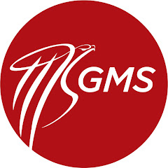 GMS Surabaya net worth