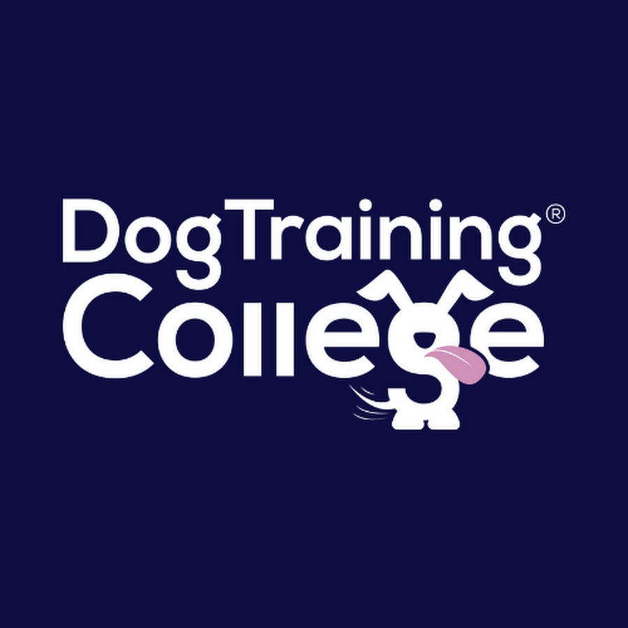 Dog Training College - YouTube