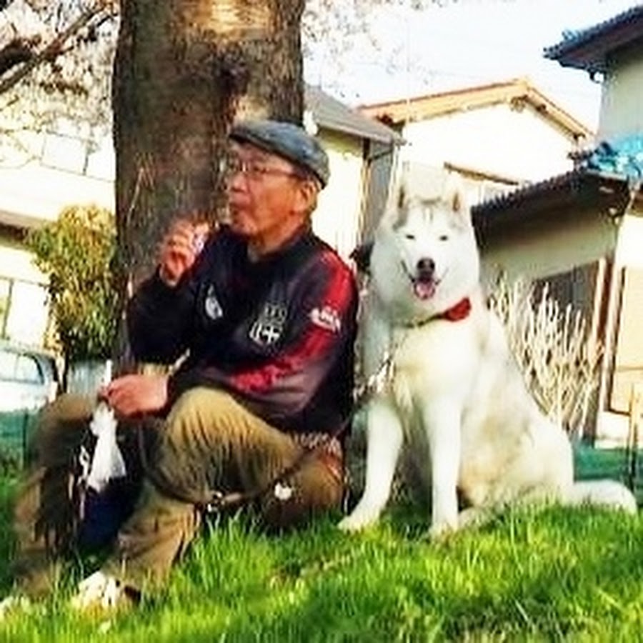 AMLnZu96H_ETSkfFAuPOz9VLNNldwMF0YdJMeAvc5tse0WA=s900ckc0x00ffffffnorj