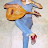 samgabor100 Avatar