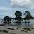 Small_ Joys Avatar