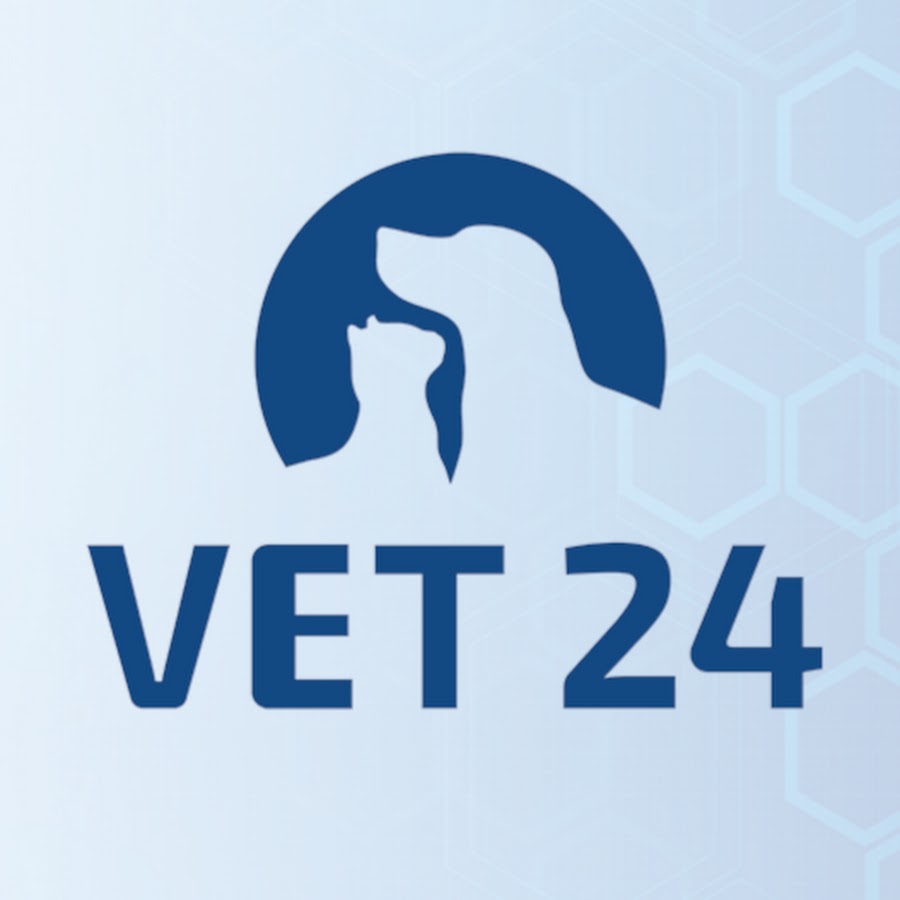 ветклиника ярцево. ярцево больница. ветеринар 54 новосибирск улица энгельса. ветеринарная клиника ярцевская. ветклиники энгельс.