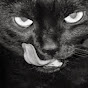 Liquor Cat YouTube Profile Photo
