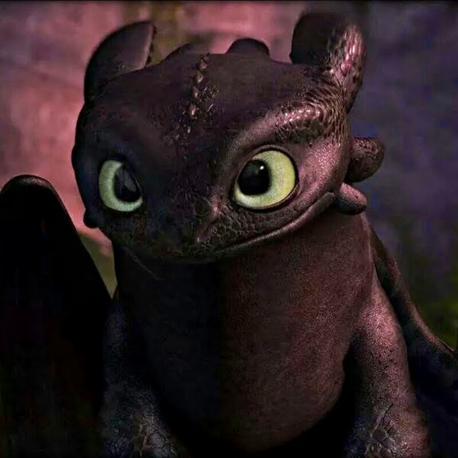 Как приручить дракона 2 драконы. Ночная фурия беззубик. Аск приручить дракона. Беззубик как приручить дракона 3. Беззубик как приручить дракона 3.