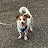 Jayde Avatar