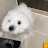 Snow설이