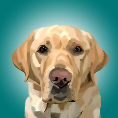 Magnus The Therapy Dog Avatar