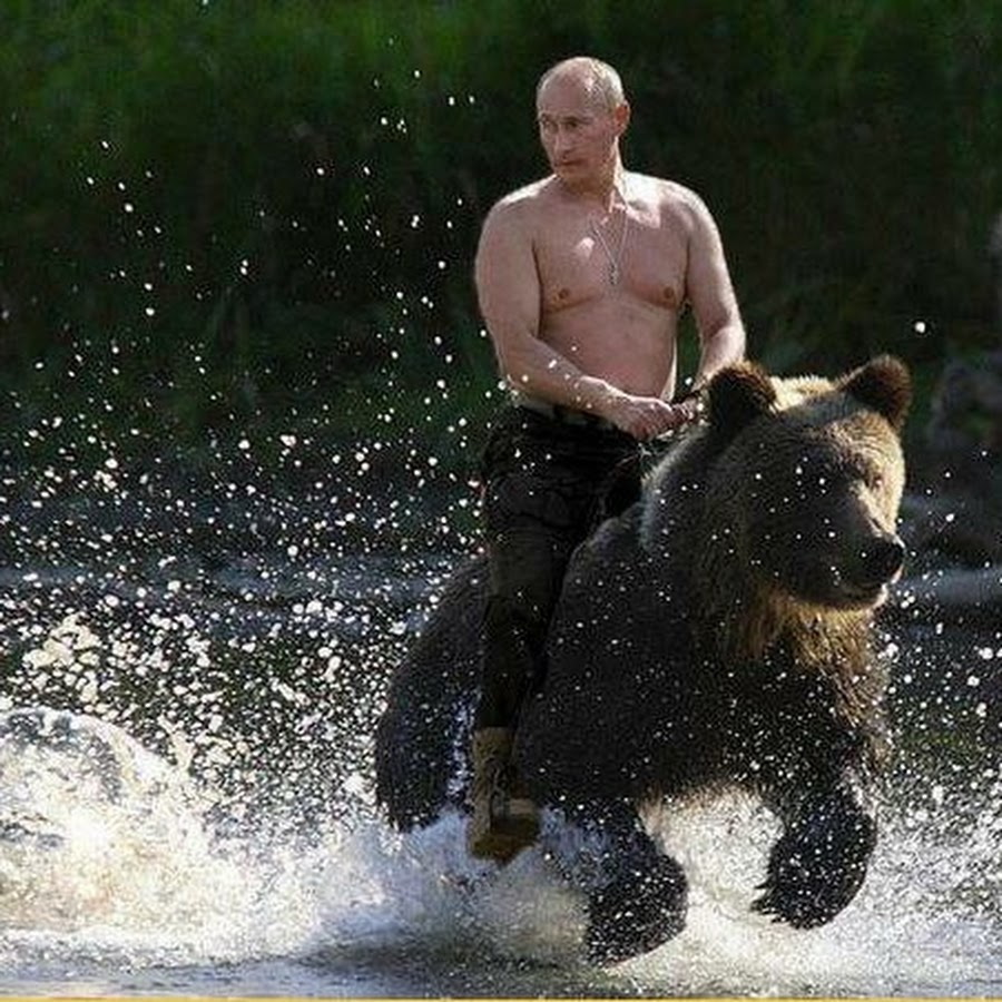 Путин на медведе картинка в хорошем качестве