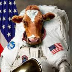 SpaceCow