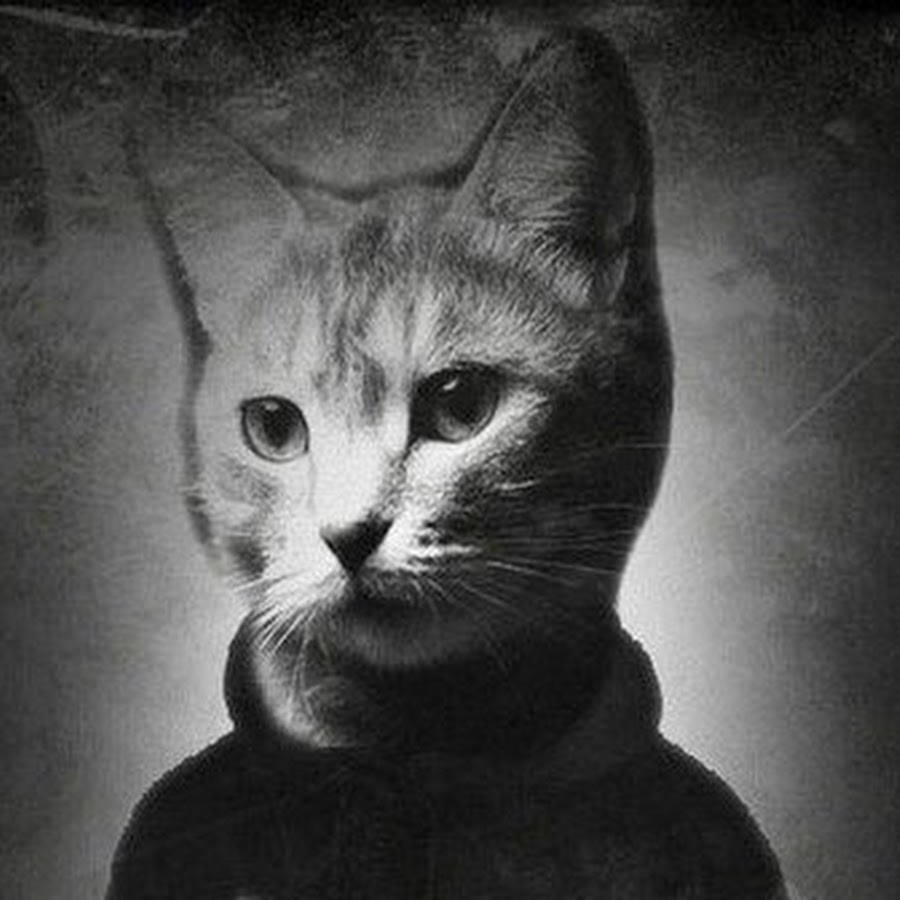 не удалось загрузить фотографию вк на аву