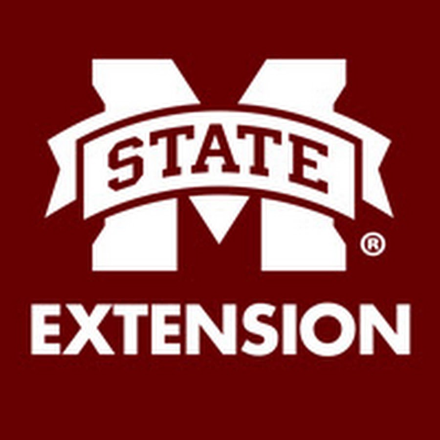 Idle loops. Extension state. Comptia+ книга. Extension state. Стейт-машин invokesuspend continuation.