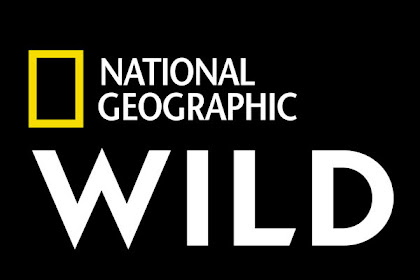 nat geo wild tv schedule uk