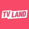 What could TV Land buy with $610.02 thousand?