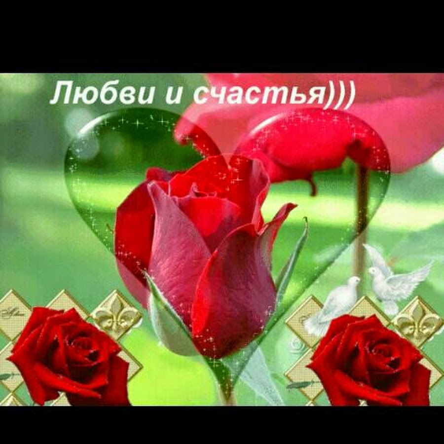 Счастья любви удачи