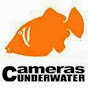 CamerasUnderwater - @CamerasUnderwater YouTube Profile Photo