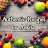 Authentic Recipes by Ankita