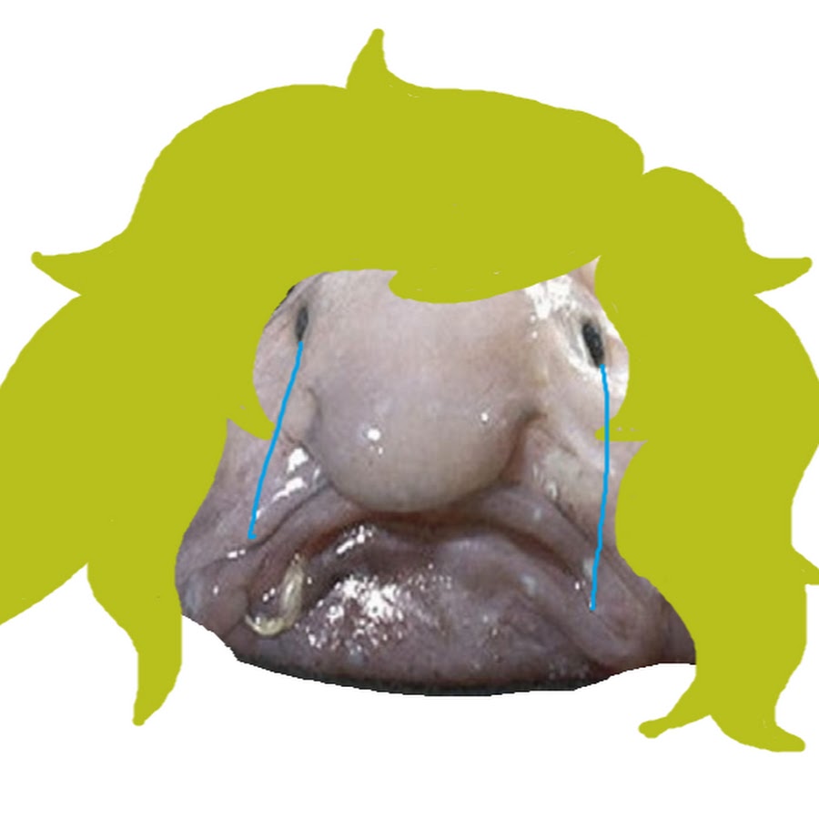 AMLnZu9En_oqibLL1SHcueotVnYIfszqcOERY7Yri1wz=s900-c-k-c0x00ffffff-no-rj