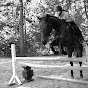 EquestrianLover4Life YouTube Profile Photo