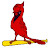 Joe McKim Avatar
