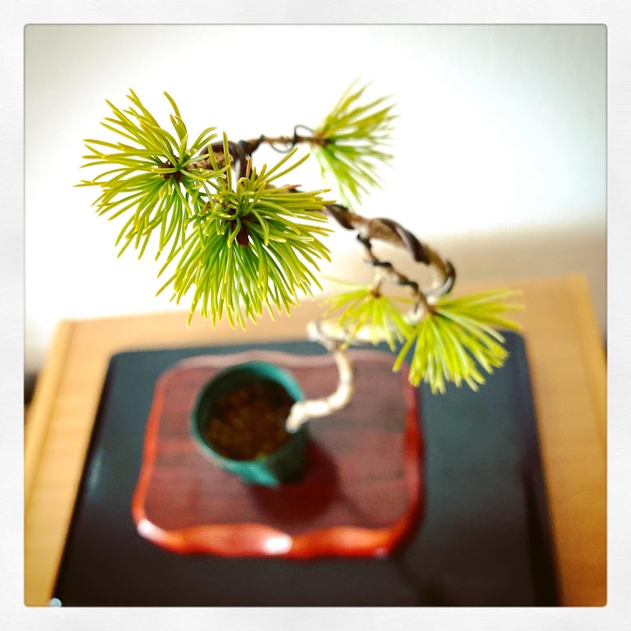 AMLnZu9Fci6qhgnch9o6GDv3q3P3Pecm8JI4K2RsX7v=s900ckc0x00ffffffnorj