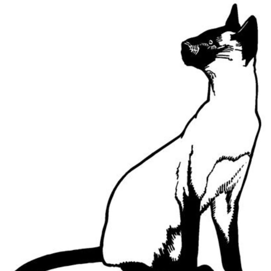 Кот рисунок вид сбоку