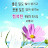 모든게풍요