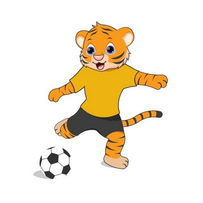 Футбольная школа Тигрята
