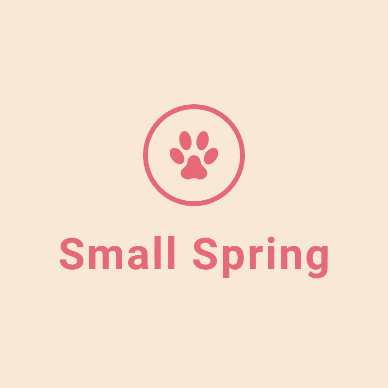 Small Spring