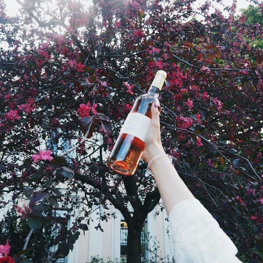 И мне было не жалко. Очень жаль очень жаль. Грубым дается радость. Открытка очень жаль. Жалкий человек.