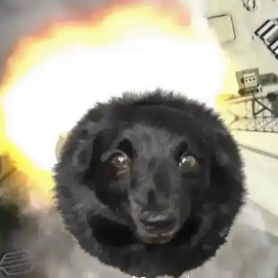 AMLnZu9GjGYmIUyY-srDxeuWLGOoe2U6MCzYITK8TLAA=s900-c-k-c0x00ffffff-no-rj