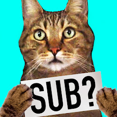 TheMeanKitty Channel icon