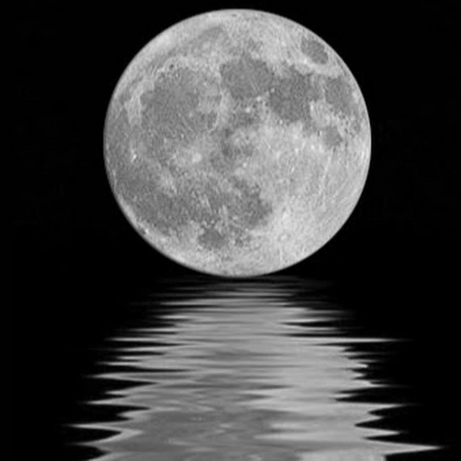 Moon Water Tarot - YouTube