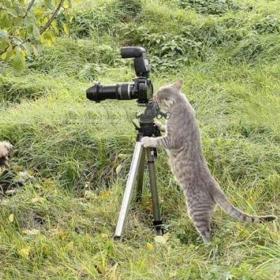 День фотографа