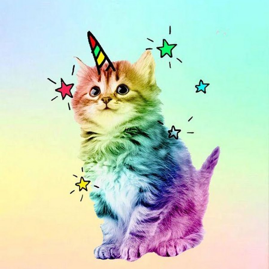 Котики из тик тока рисунки