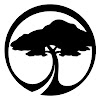 What could Arbor Collective buy with $100 thousand?
