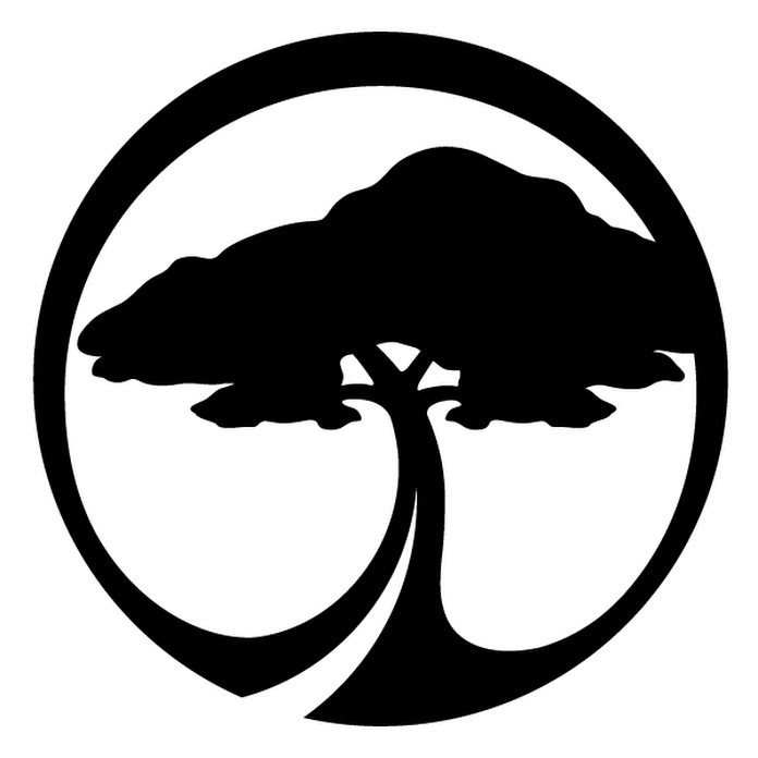 Arbor Collective Net Worth & Earnings (2026)