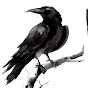 Raven Williams YouTube Profile Photo