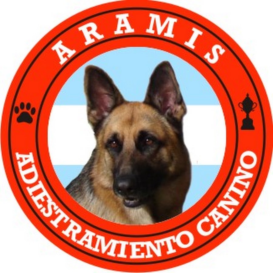 Aramís Dog Training