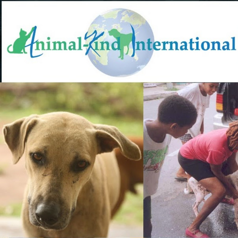 Animal Kind International